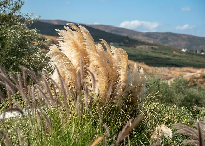 Villas Phos And Kallos